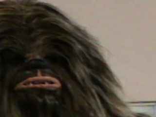 salon Migennes 2011 : part 4 : star wars , chewbacca