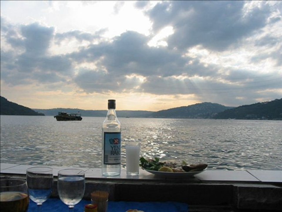 ANKARA BAĞLARI