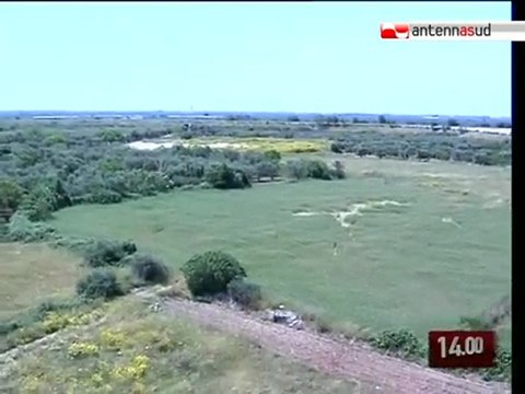 TG 11.05.10 Ufo a Bitritto? C'è chi dice di sì