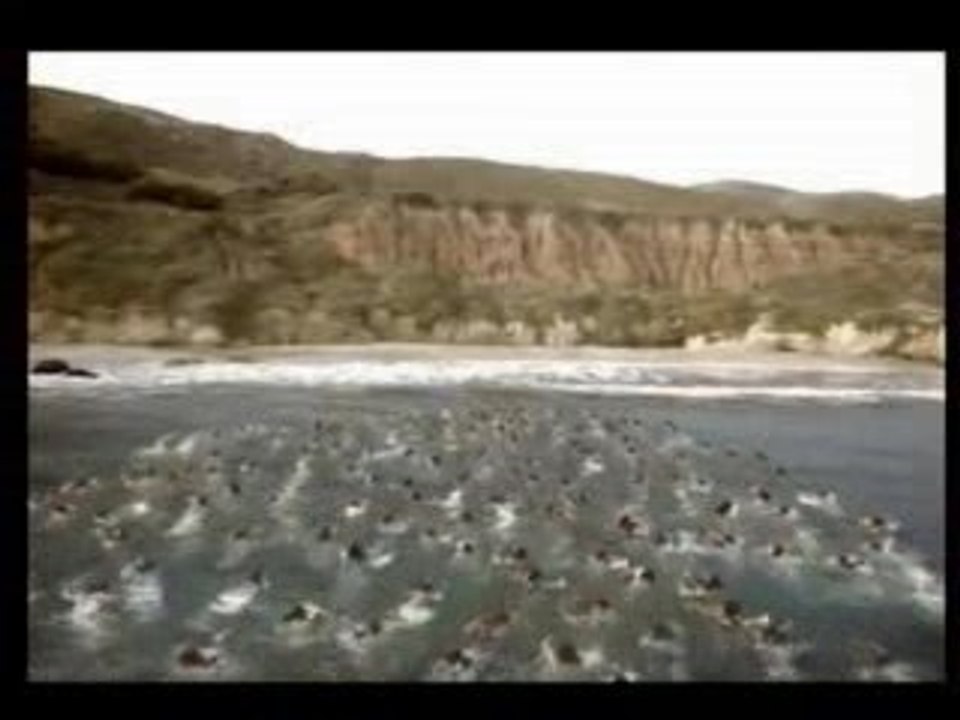 Axe: Plus ten mets ....