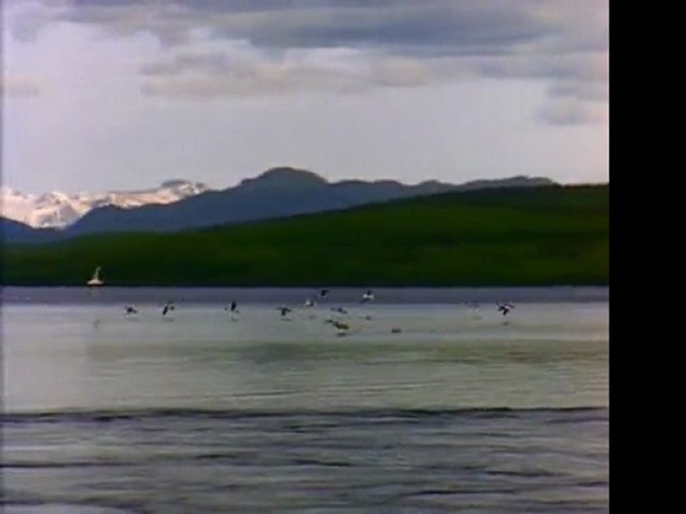 Airsoft Grenade Review: Find the best Airsoft Grenade for sale. Amazon.com - discount special offers and deals.