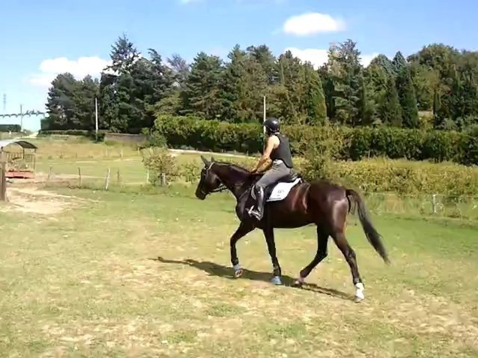 Rico & Audrey, petit cross 3