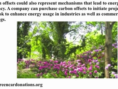 Carbon Offsets | How to Determine What Carbon Offsets You Need to Buy