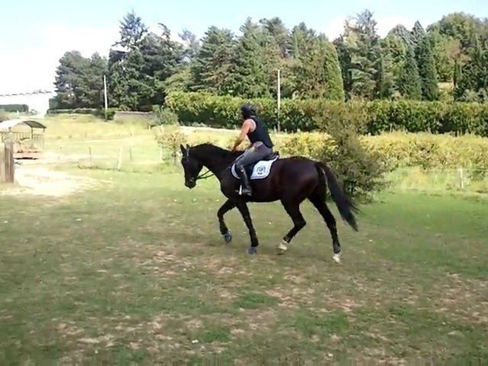 Rico & Audrey, petit cross 5