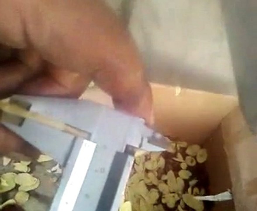 patates cipsi ve havuç doğrama vb. meyve doğrama makinası