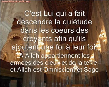 Sourat 48 Al Fath (la victoire éclatante) verset 4