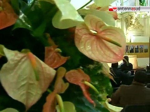 TG 10.12.10 I Processi alla storia per avvicinare i cittadini alla legalità