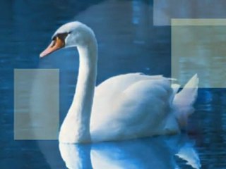 11 settembre 2011: Elisa e Fulvio sposi - un mio video in regalo - 3° parte