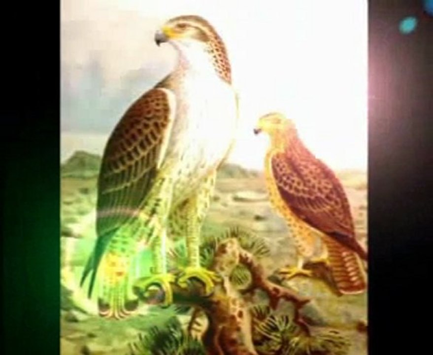 ruhi su '' bulguru kaynatırlar''