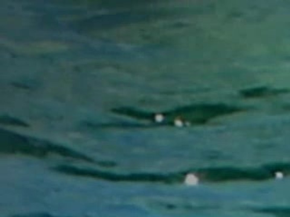 RECORD DU TOUR DE CORSE 2006