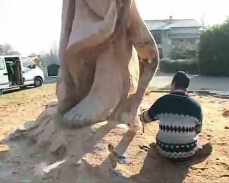 le cédre part 2 St Nauphary , domaine du Roussillon mon Ange 12 mètres de haut pour 2,20 de diamètre chantier familiale à 2 tronçonneuses pendant un mois et demie par Olivier Ledoux et Julien Righi