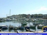 Bisceglie | Pesca illegale di datteri, raffica di controlli