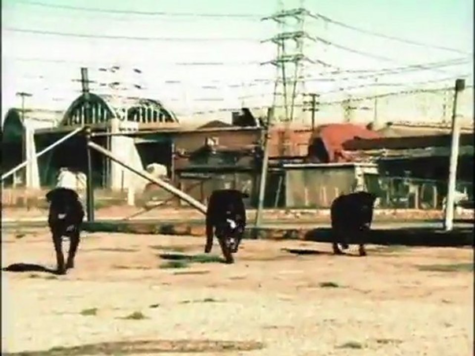 No Limit Records Presents Snoop Dogg "Da Game Is to Be Sold Not to Be Told"