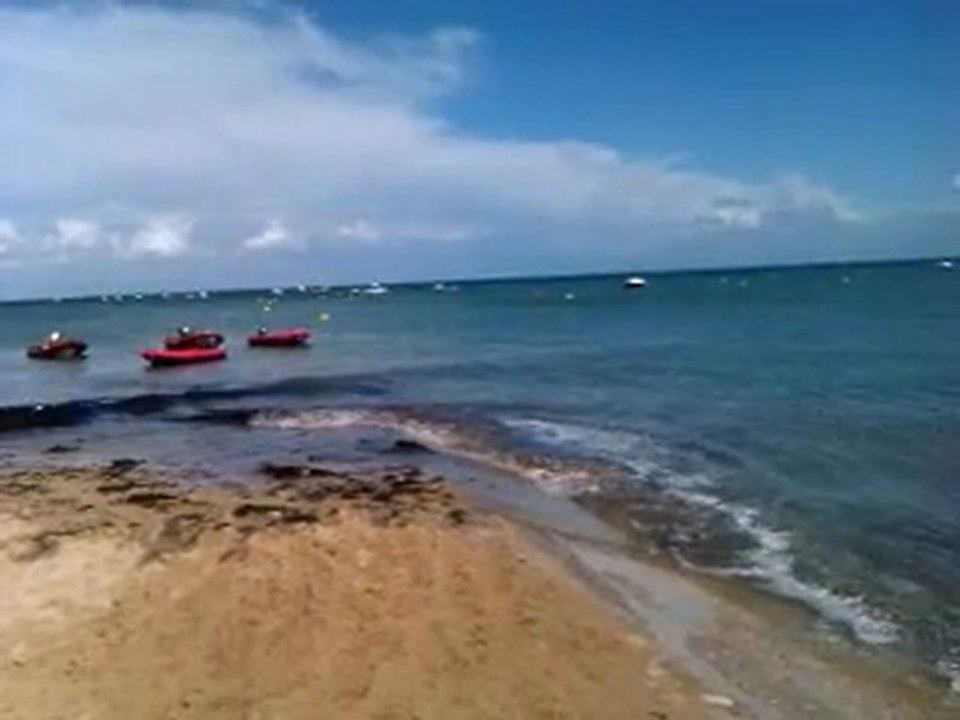 plage a l'ile de ré, porte en ré,