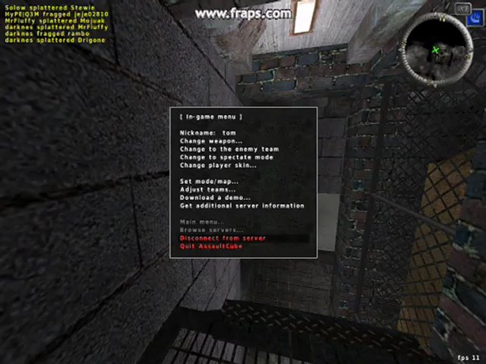 assault  cube