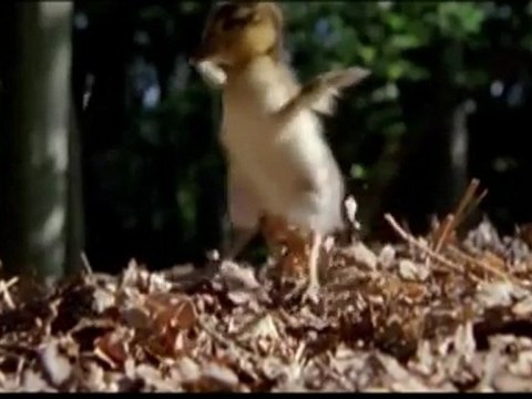 22.04.11 Giornata mondiale della Terra