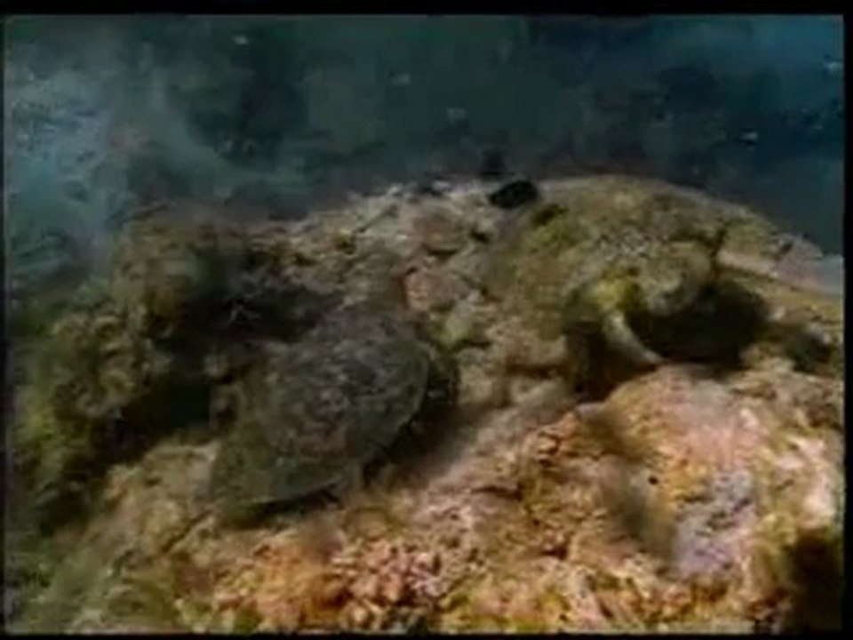 Allah herşeyin hakimidir