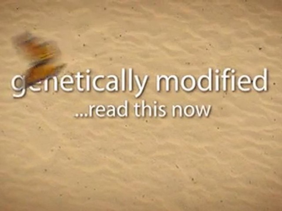 Genetically Modified Foods Pros and Cons