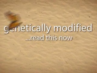 Genetically Modified Foods Pros and Cons