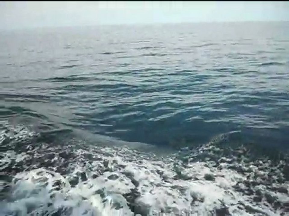 Ouessant - 4
