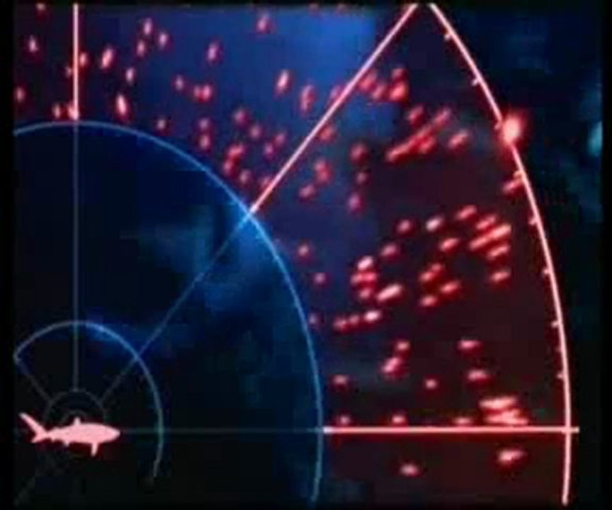 Okyanusta yön bulma