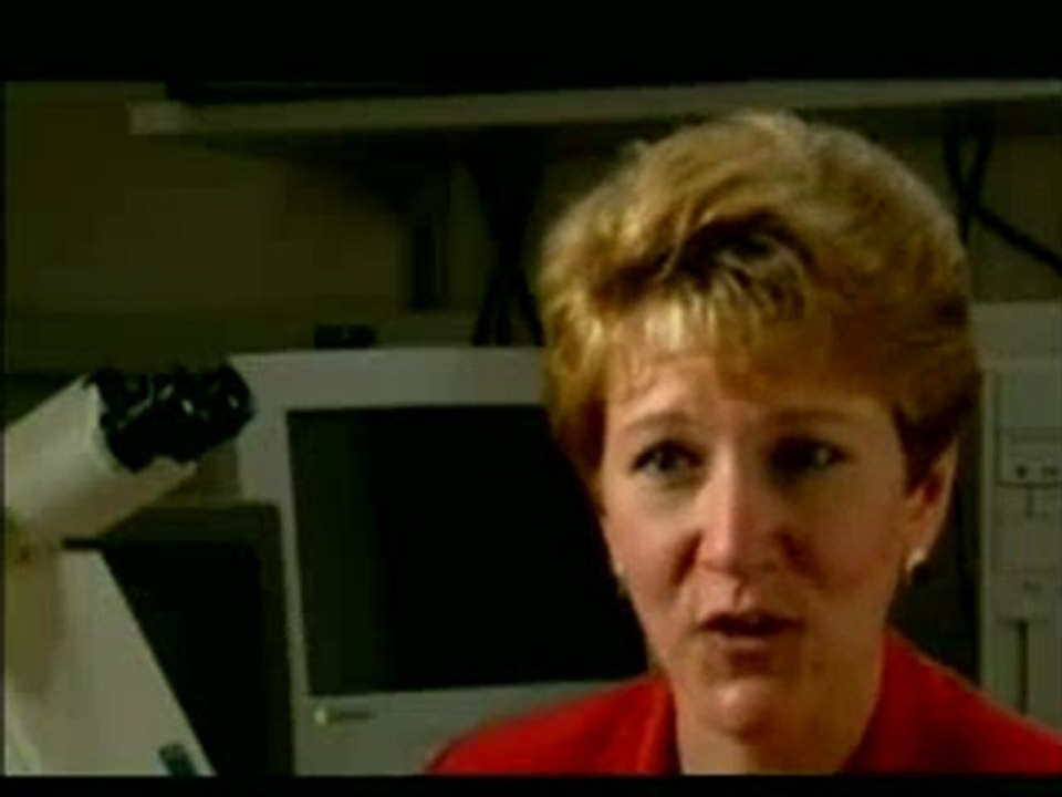 Bebek beynindeki mucize