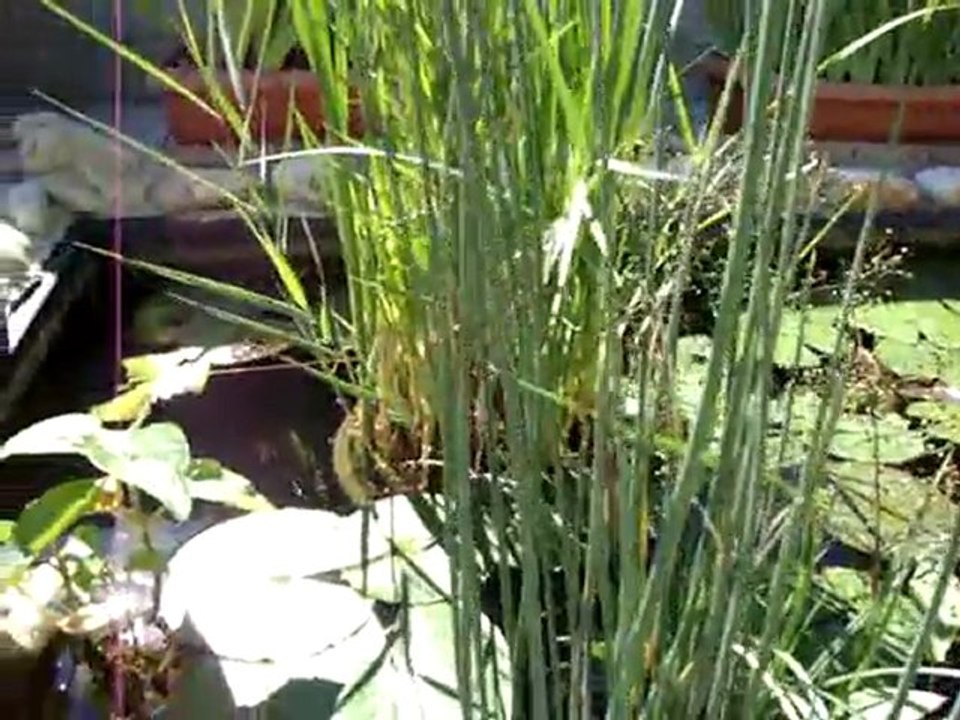 MOV08777