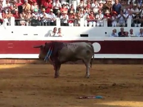 Toros y salsa 2011 - manzanares 2 oreilles et queue