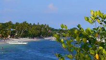 BIRDS & FLOWERS AROUND PANGLAO, PHILIPPINES