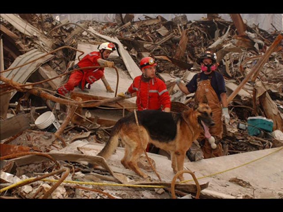 9/11 - WTC 7