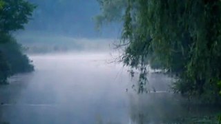 MiRROR OF NATURE (STOP DAILYMOTION)