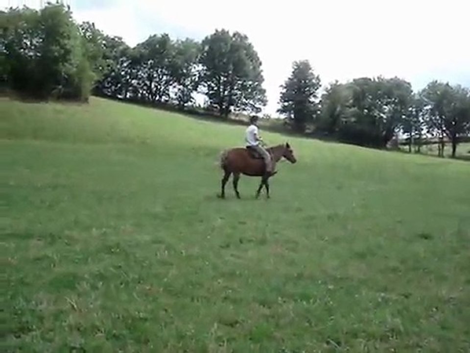 galop2 dinou