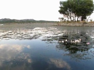kuğulu  park sonbahara hazırlanıyor