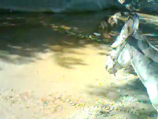 korku: gözünü ekrandan ayırma