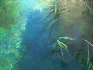 azmanak çayı-gökova