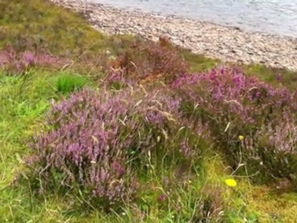 Wester Ross 10