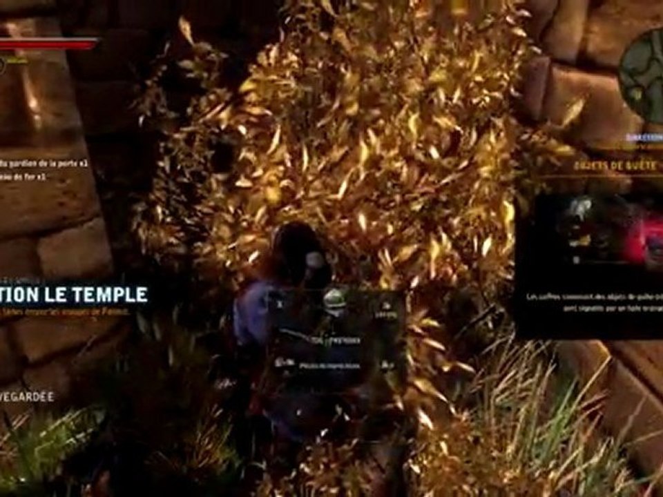 The witcher 2 07