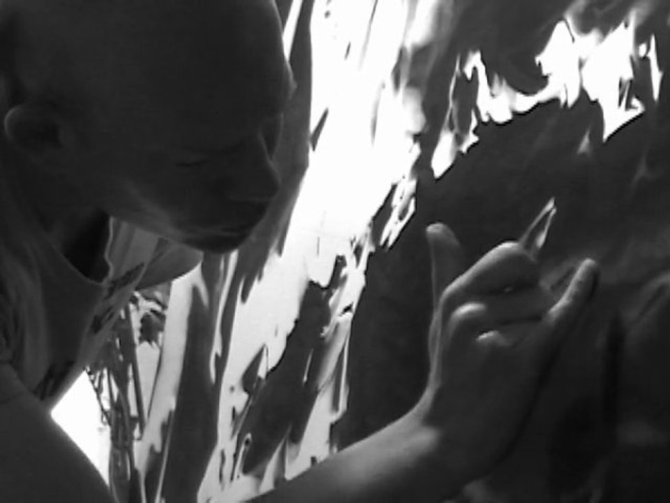 Sylvain Levier dessins, tresadennoù.