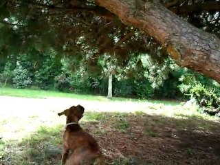 Epic Fail : Seth boxer de 9 mois