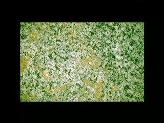 07. The Identification of Minerals