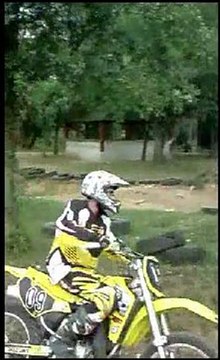 TAILLE DES LYS LENCLOITRE 100911