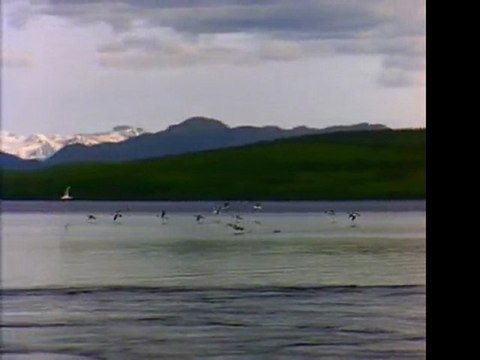 Airsoft Sight Review: Find the best Airsoft Sight for sale. Amazon.com - discount special offers and deals.