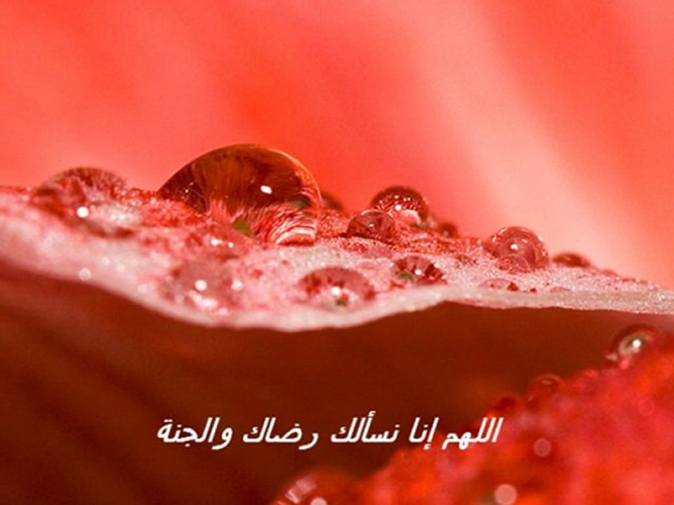 Magnifique duae  Par Sheikh Mohammed  Al-haidanأروع دعـــــــاء للقارئ محمد اللحيدان