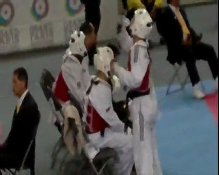 Taekwondo coupe de l'ambassadeur de corée 2011 tour3