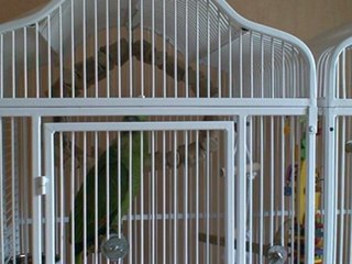 Philibert commence à s'exprimer il chante Meunier tu dors( ton moulin)