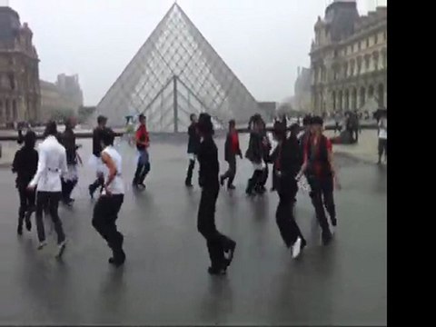 Flashmob Mylène Farmer Sans Contrefaçon au Louvre