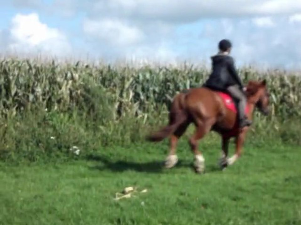 galop avec uno au stade