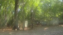 GOPR2031(00h02m30s-00h06m30s)