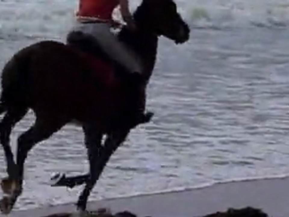 Plage du 11 Septembre 2011