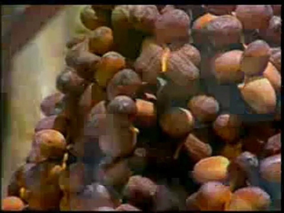 Allah'ın Hz. Meryem'e olan yardımı